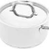 Demeyere Classico 3 Kookpan – Met Deksel – Inductie – RVS – 20 Cm – 3L -Keuken Potten Winkel 1200x790 1