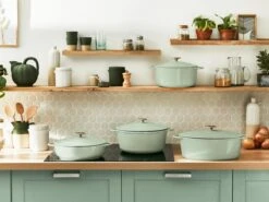 Tefal LOV Braadpan - 5L - Ø25 Cm - Groen -Keuken Potten Winkel 1200x900 36