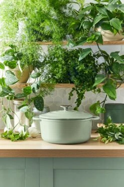 Tefal LOV Braadpan - 5L - Ø25 Cm - Groen -Keuken Potten Winkel 800x1200 16